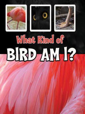cover image of What Kind of Bird Am I?